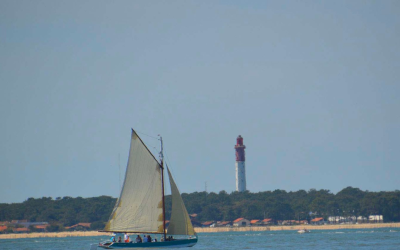 Évasion iodée sur le bassin d’arcachon