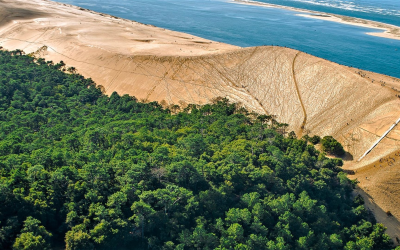 Escaladez la dune du Pilat et savourez un panorama unique