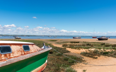 Découvrez l’âme et les secrets des plages du bassin d’arcachon