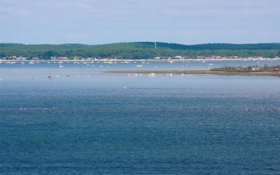 Plages du bassin d’arcachon: dunes, traditions ostréicoles et sports nautiques