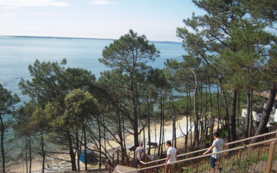 Dune du pilat un panorama époustouflant entre océan et forêt
