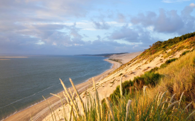 Arcachon révèle ses plages vivantes entre océan, dunes et pinède