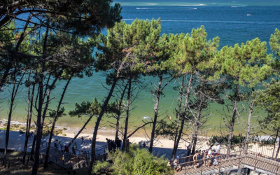 Dune du pilat spectacle naturel entre mer forêt et dunes