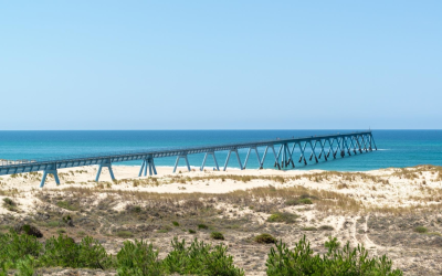 Laissez-vous séduire par les plages du bassin d’Arcachon