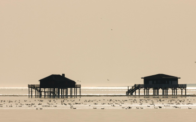 Évasion sur le bassin d’arcachon : plages, dune et trésors cachés