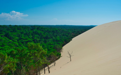 Escapade inoubliable entre dune du pilat et plages d’arcachon préservées