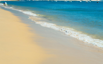 Evasion authentique sur les plages du bassin d’arcachon