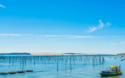 Plages du bassin d’arcachon un écrin de sable et d’écume