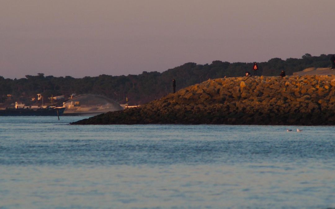 Plages du bassin d’arcachon: détente, nature et découvertes marines magiques