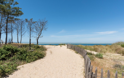 Plages du bassin d’arcachon : votre guide pour une expérience unique